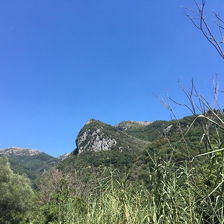 Casa La Wanda - Camaiore Toscana - 2 Bedroom & Terrace المظهر الخارجي الصورة