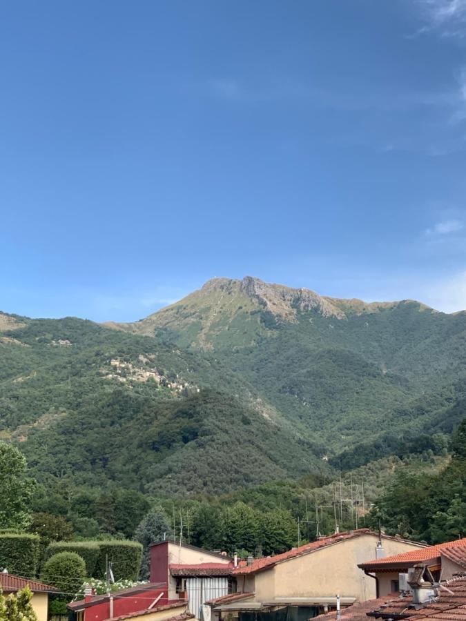 Casa La Wanda - Camaiore Toscana - 2 Bedroom & Terrace المظهر الخارجي الصورة