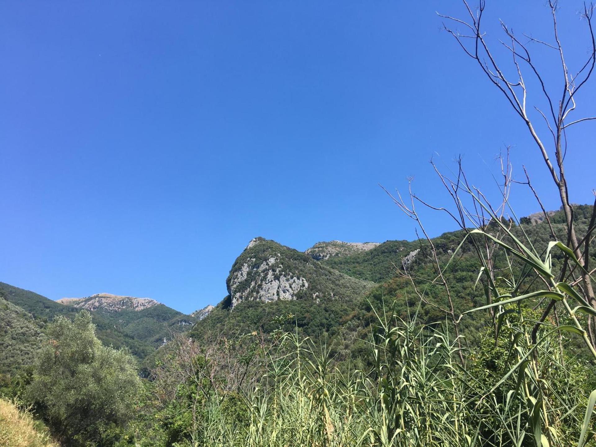 Casa La Wanda - Camaiore Toscana - 2 Bedroom & Terrace المظهر الخارجي الصورة